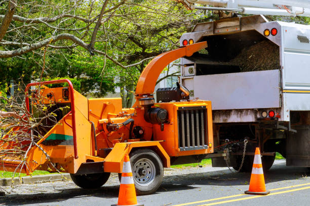 Best Tree Risk Assessment  in Delta, CO